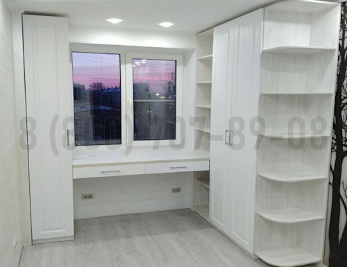 Рабочая зона модель r250 купить в Красногорске